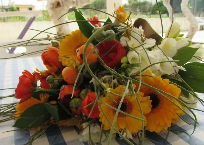 Playa Διαμέρισμα *